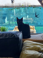 /album/13-12-2025/whatsapp-image-2025-12-13-at-15-09-29-jpeg/